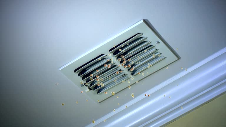 Best Air Duct Cleaning Near Me  in Papillion, NE