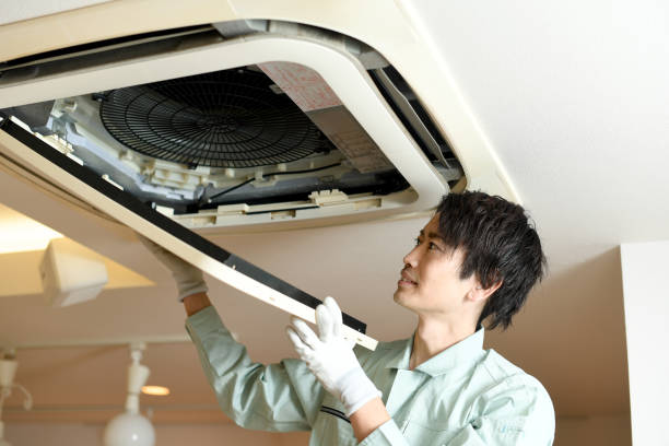 Best Affordable Duct Cleaning Services  in Papillion, NE