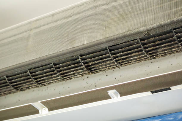 Best Residential Air Duct Cleaning  in Papillion, NE
