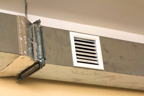 Best Air Duct Cleaning Near Me  in Papillion, NE